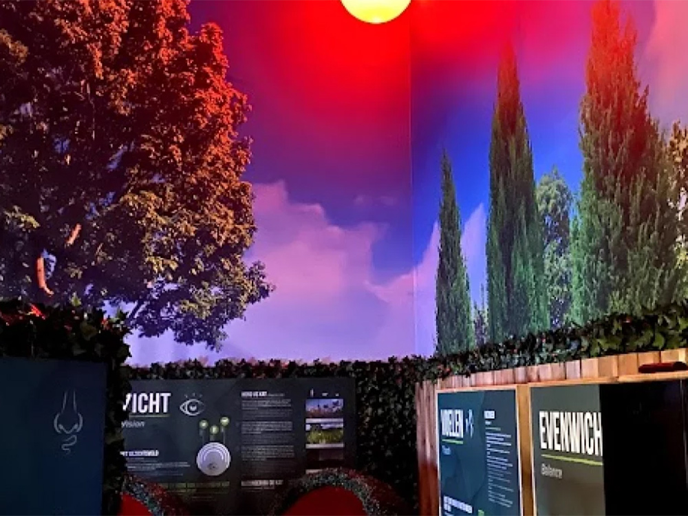 Prins Experience Verlichting